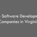Top Software Development Companies in Virginia in 2026