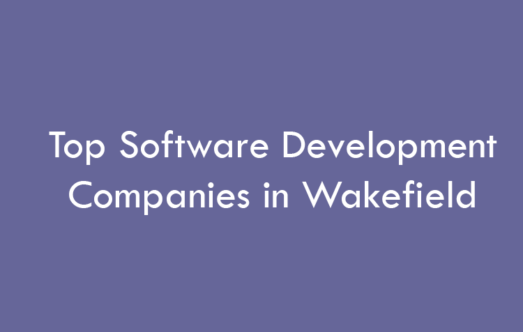 Top Software Development Companies in Lincoln in 2026