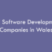 Top Software Development Companies in Wales in 2026