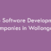 Top Software Development Companies in Wollongong in 2026