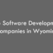 Top Software Development Companies in Wyoming in 2026