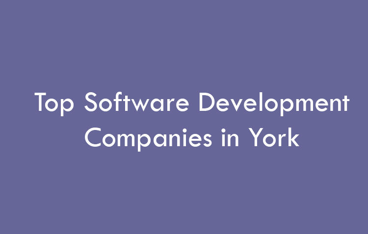 Top Software Development Companies in York in 2026