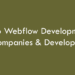 Top Webflow Development Companies & Developers 2026