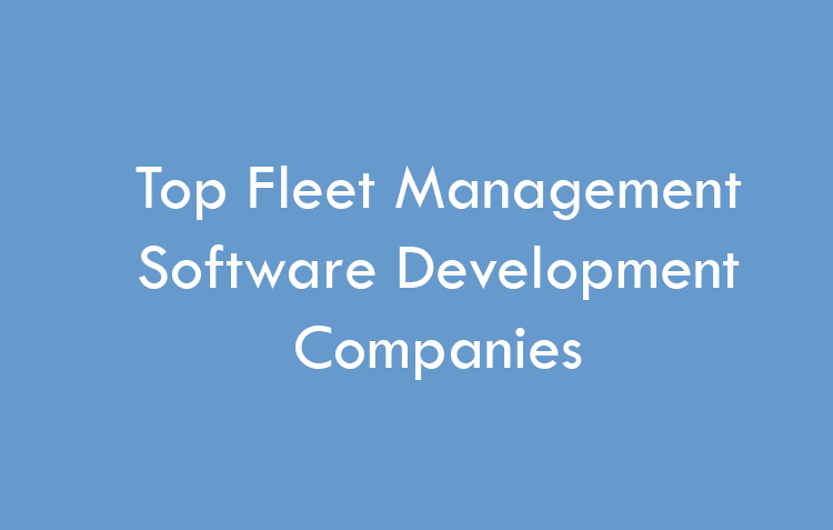 top fleet management software development companies